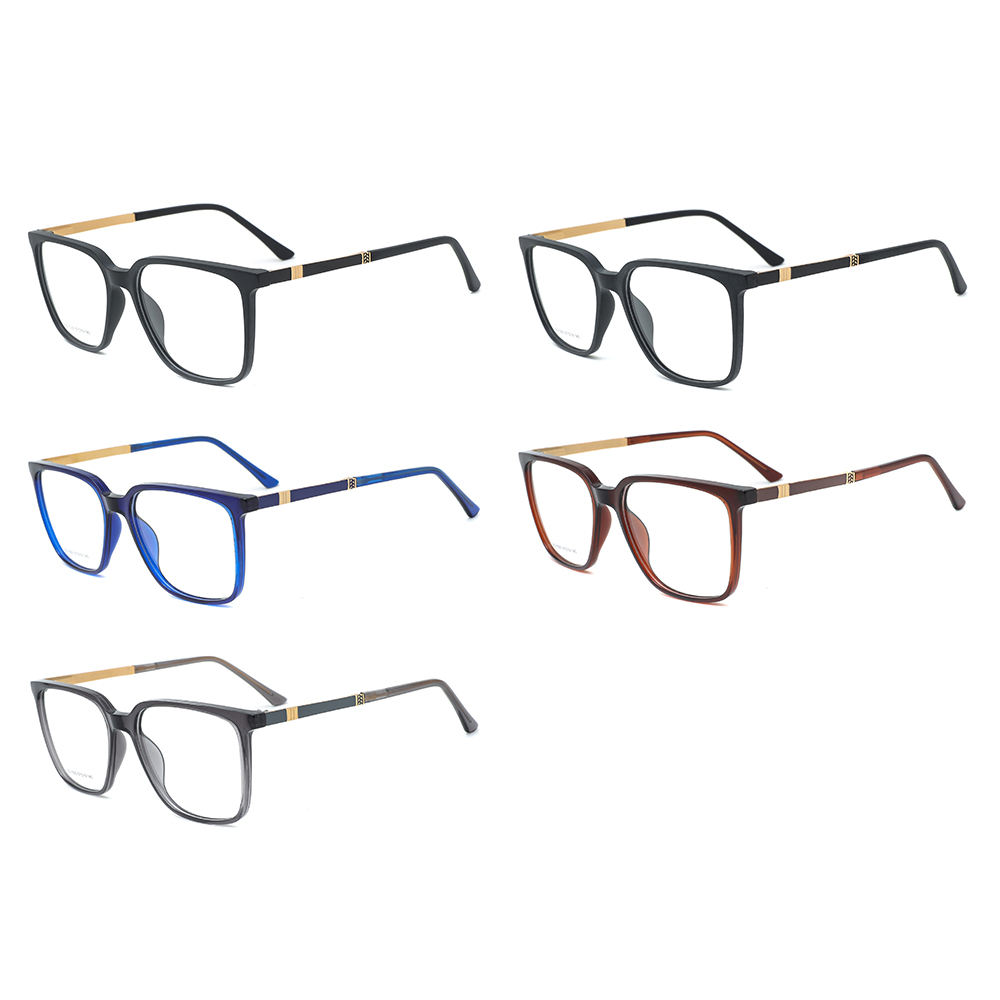 TR Lightweight Everyday Frames